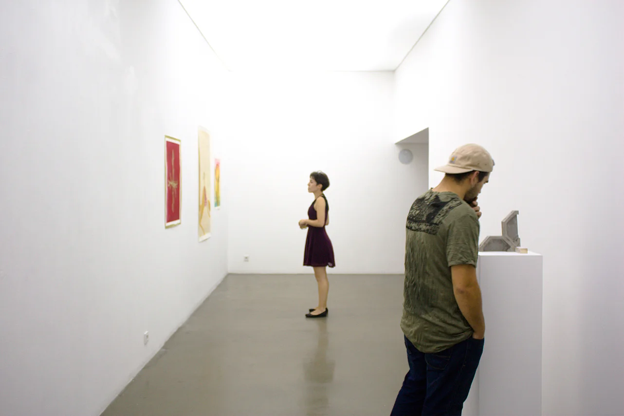 "O Caminho Estreito Para O Sul Profundo" (The Narrow Road To The Deep South) - Group show, Artists Collective Est Secum, Espaço AZ, Lisbon, 2014