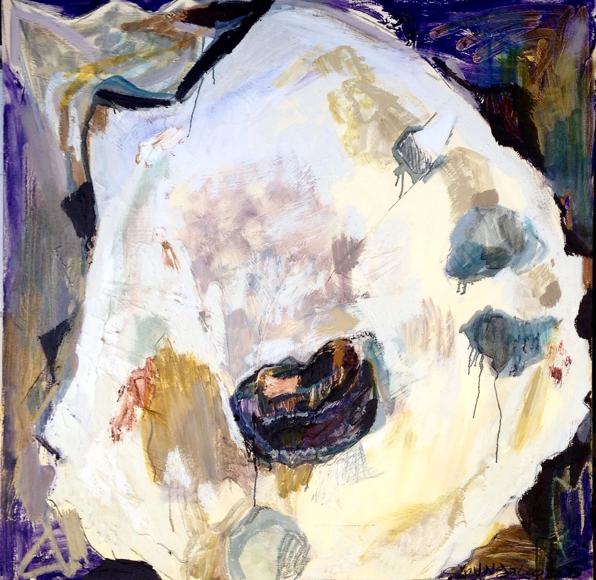 "Purple Louisiana Oyster II- March 2015"