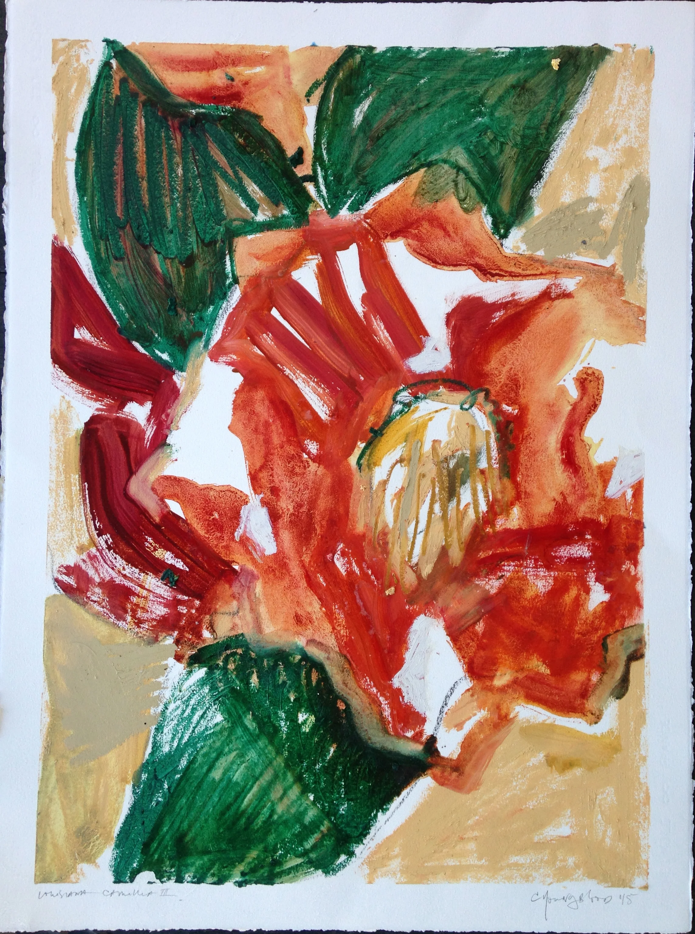 "Louisiana Camillia I" . (22 x 30").oil and charcoal on Arches oil paper. February 2015. Available for Purchase.
