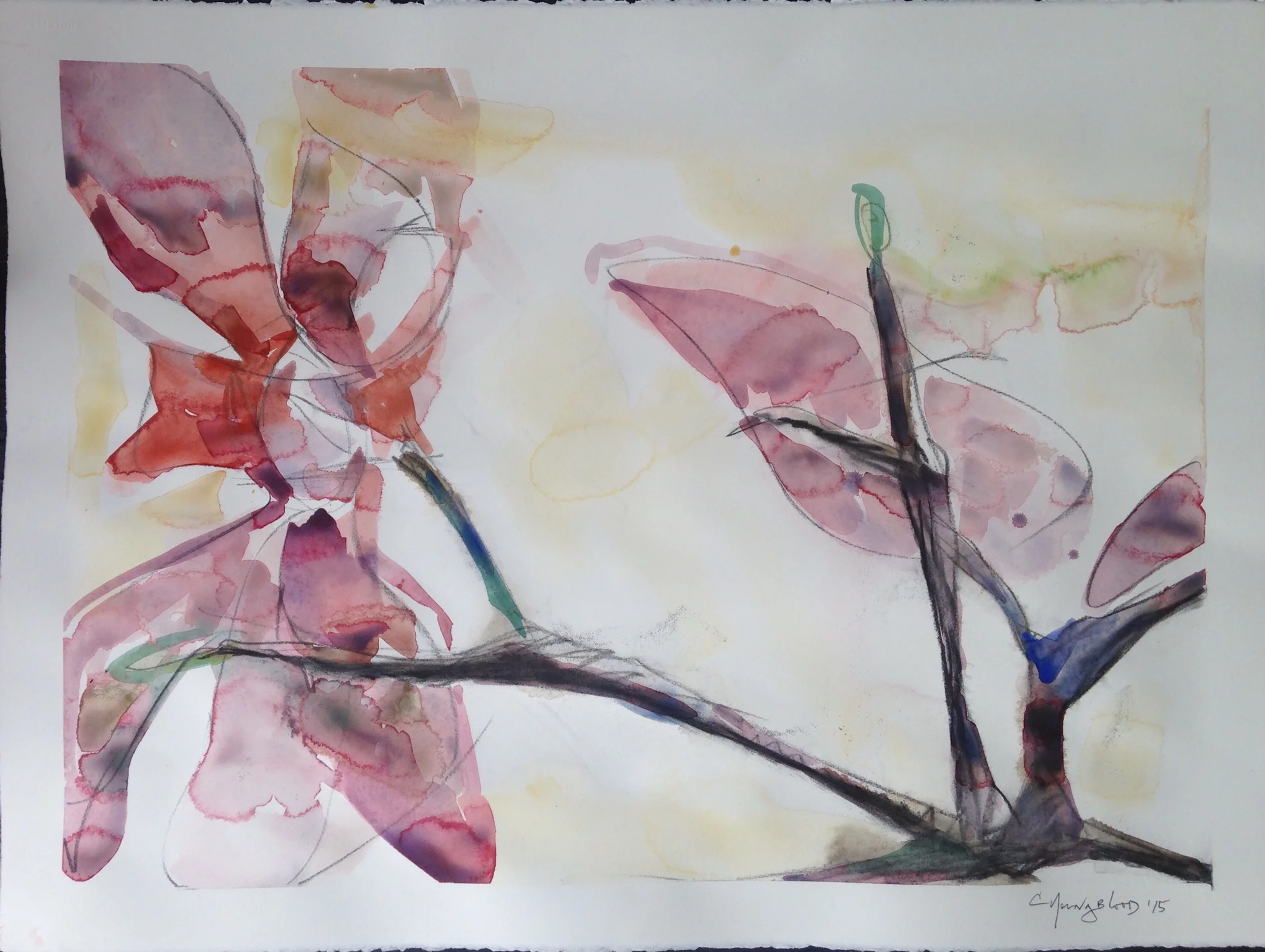 "Louisiana Japanese Magnolia III"