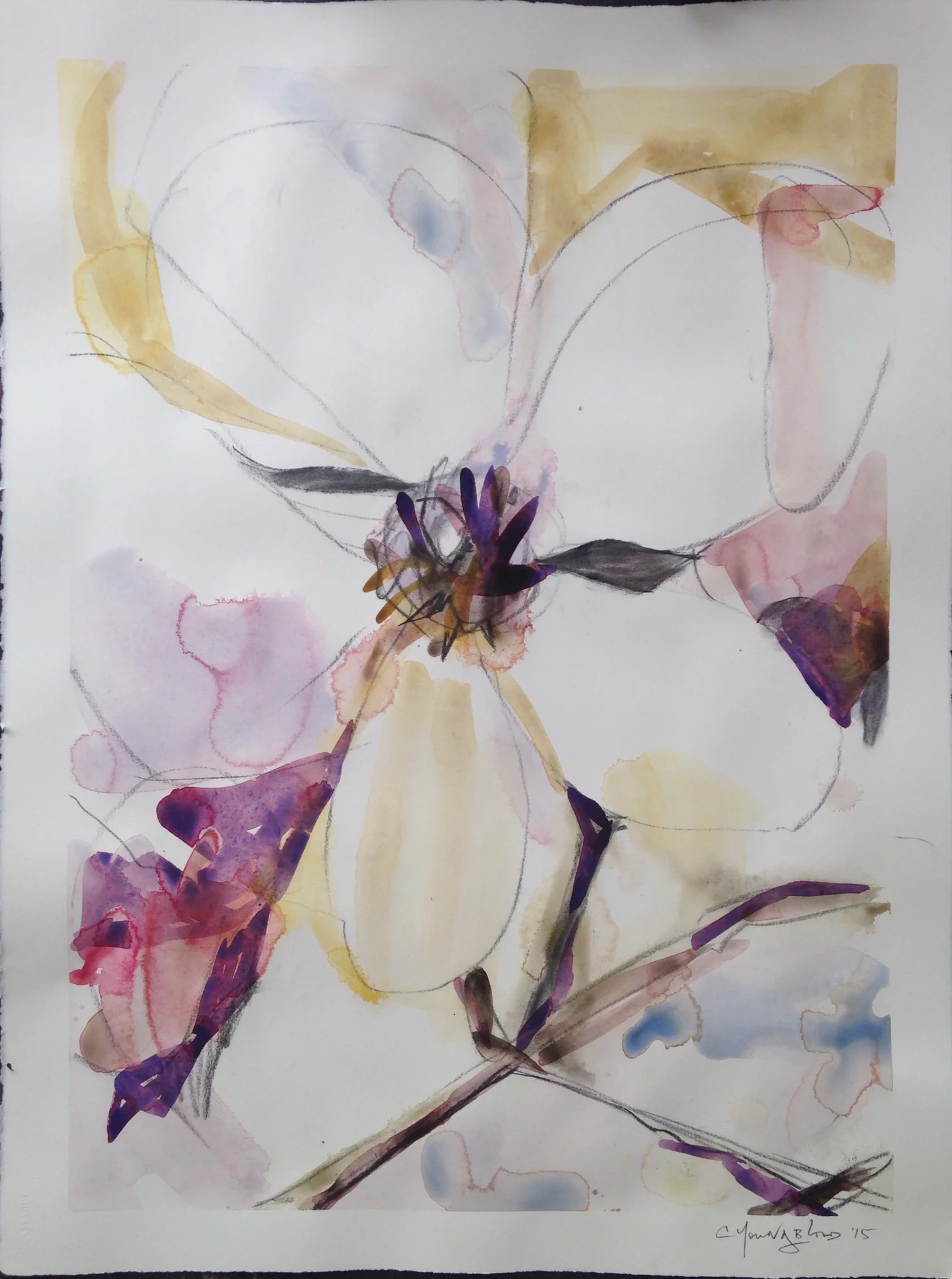 "Louisiana Japanese Magnolia II"