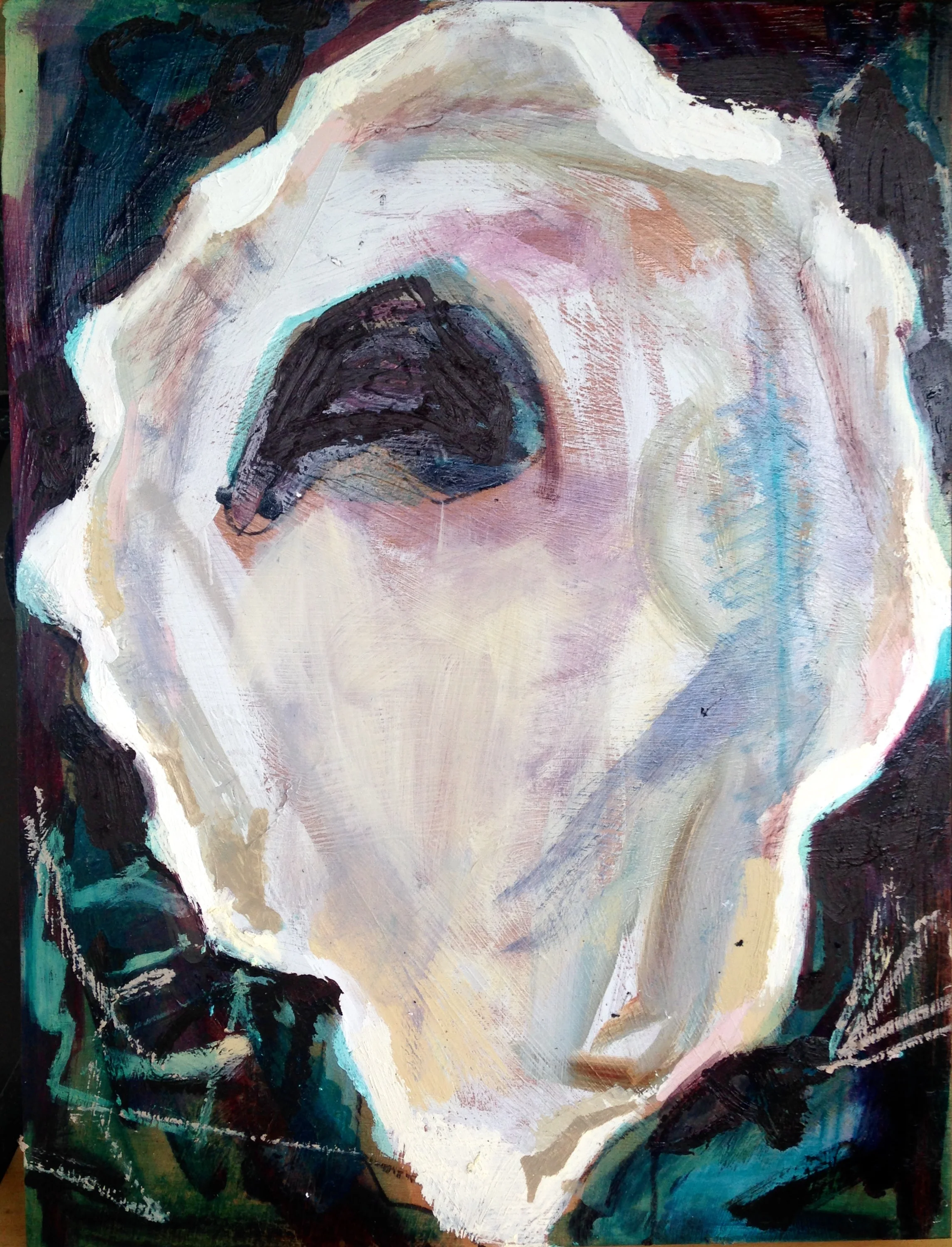 "Oyster on Wood Panel with Dark Background II"