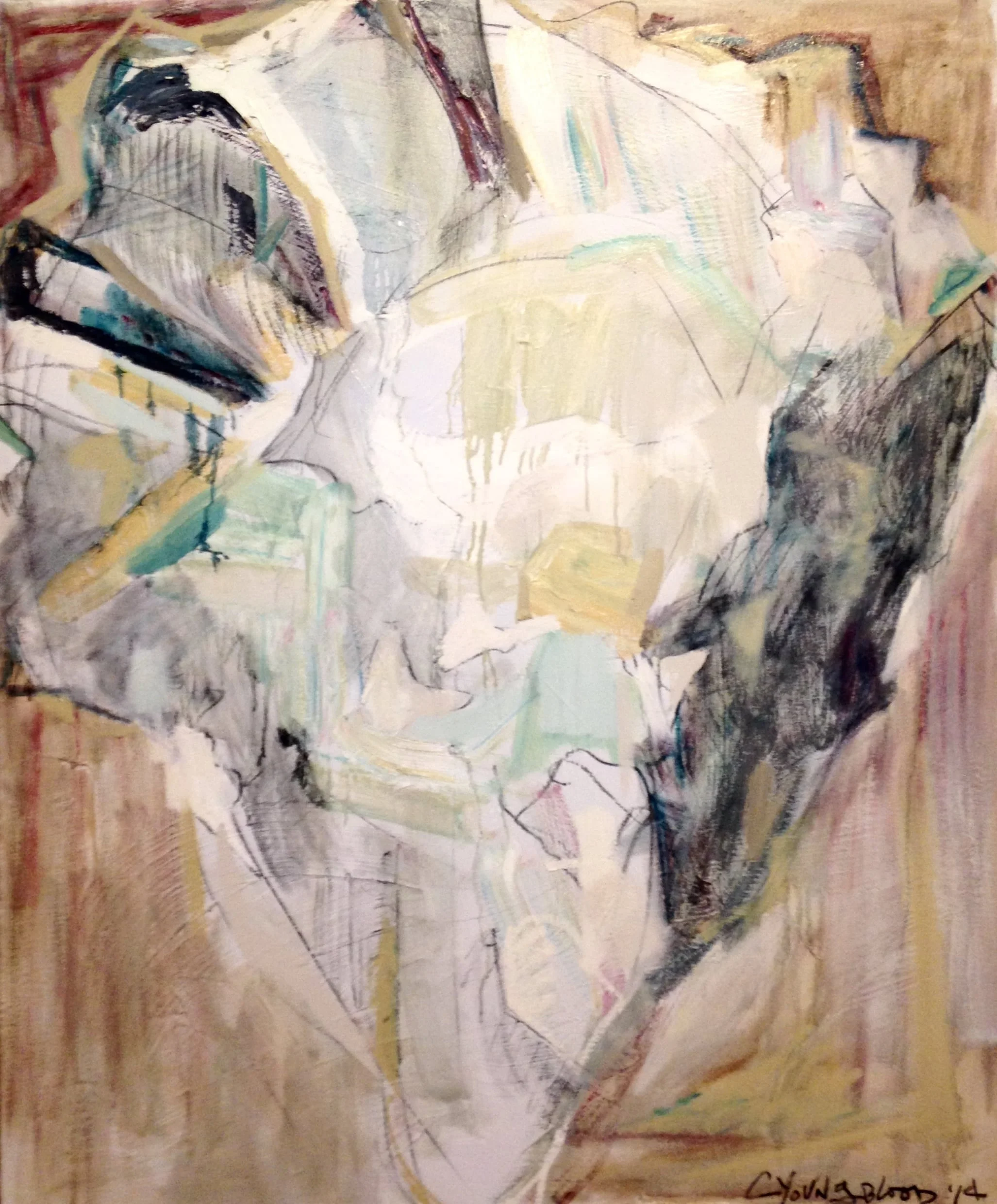 "Backside of Oyster Shell Abstraction"