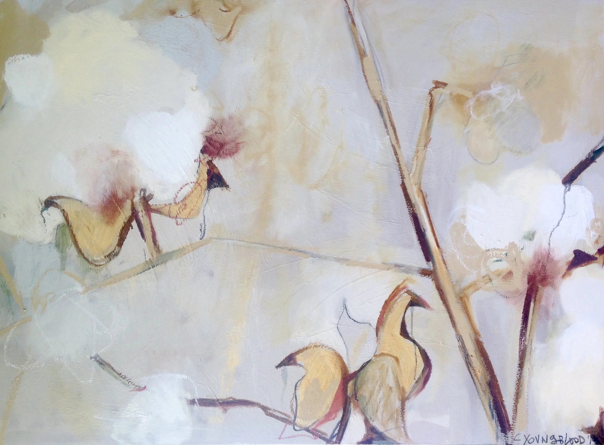 "White Gold (Louisiana Cotton)II"