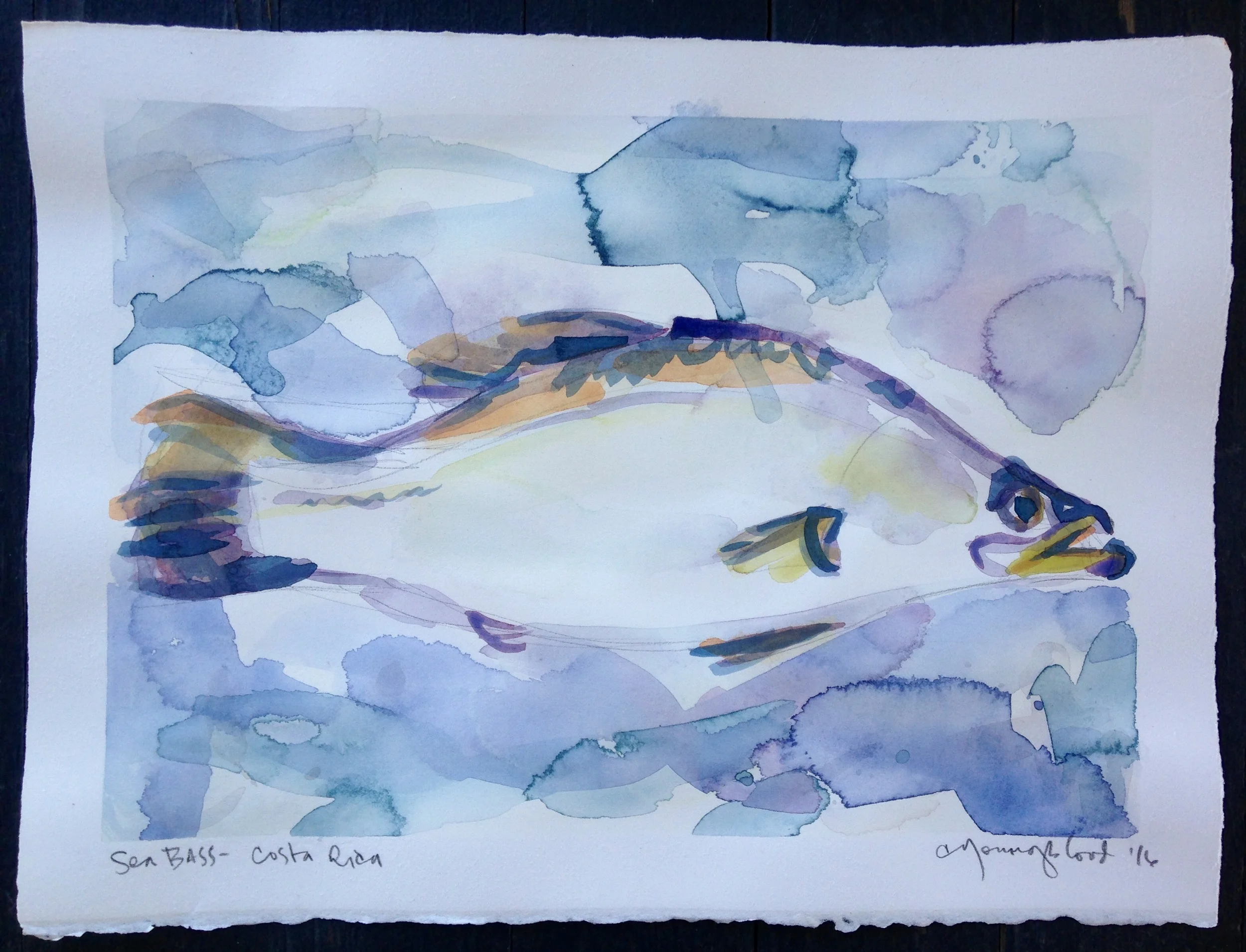 Costa Rica Sea Bass
