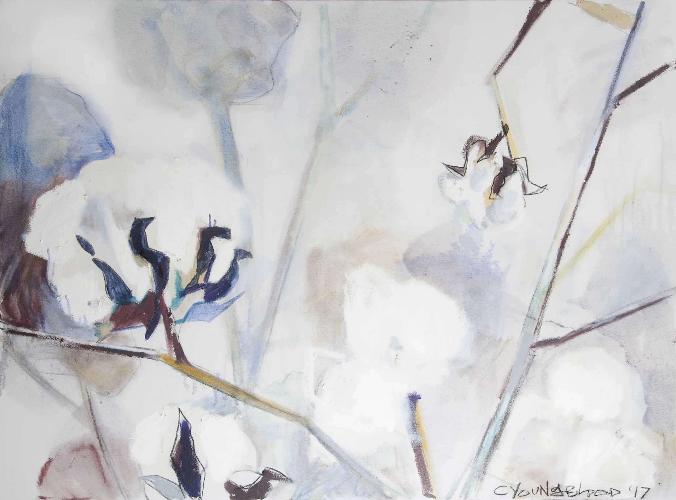 "Pale Louisiana Cotton with Royal Blue"