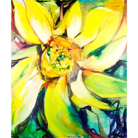 "Bosco, Louisiana Sunflower"