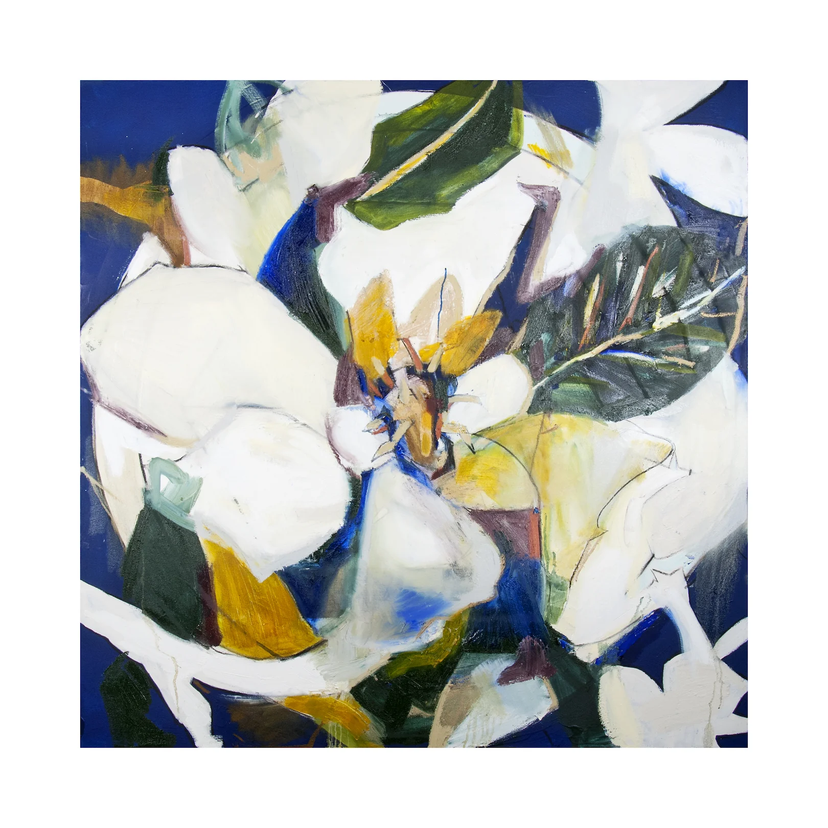 "Louisiana Magnolia Anakarana"