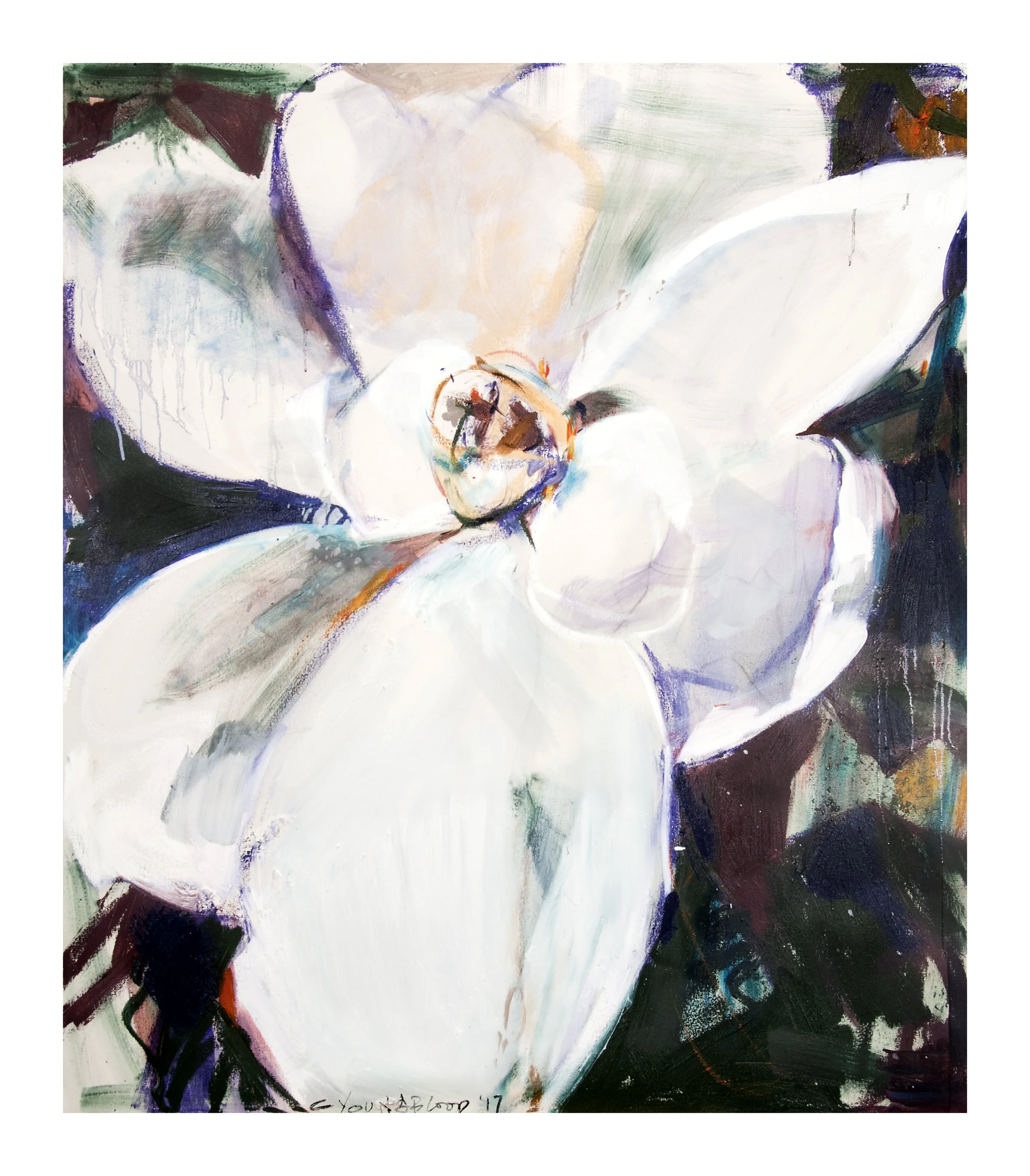 "Large Louisiana Magnolia with Purple"
