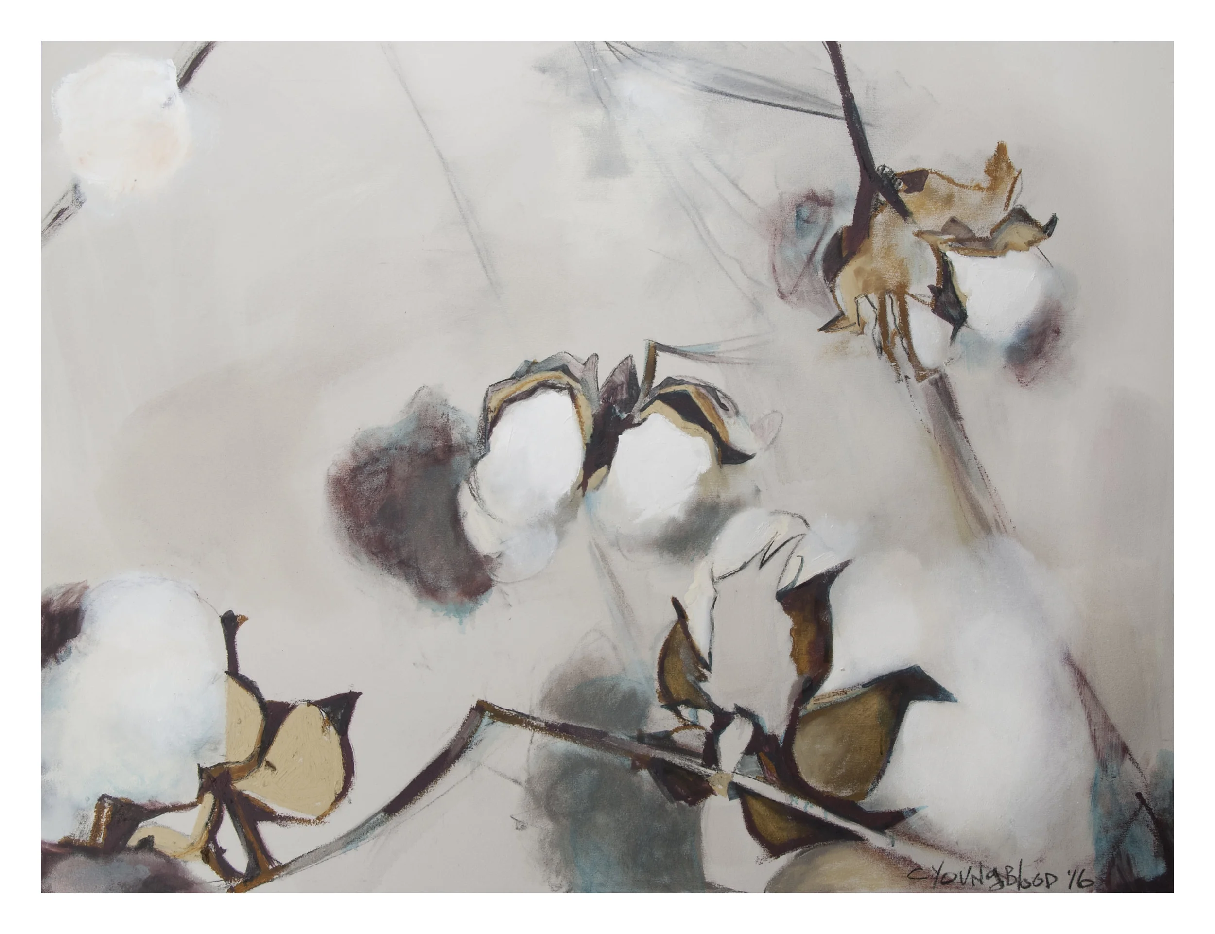 "Intravia Louisiana Cotton"