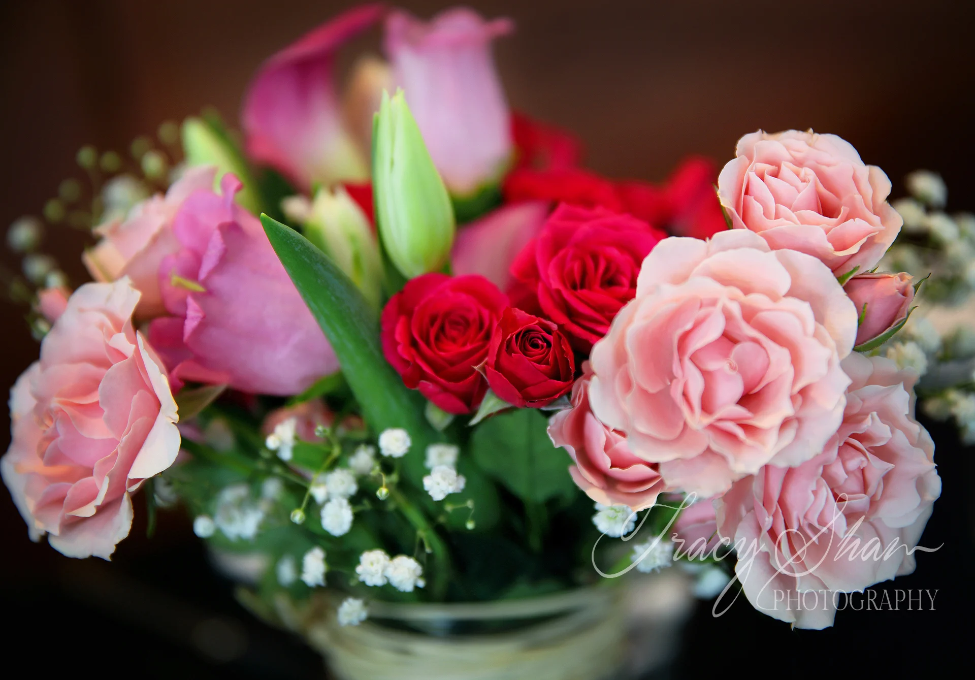 Test-0Y6A0046.jpg