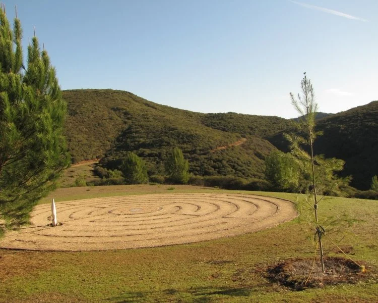 questhaven-labyrinth-pines-750x600.jpg