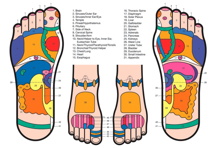 Chinese Foot Reflexology Chart