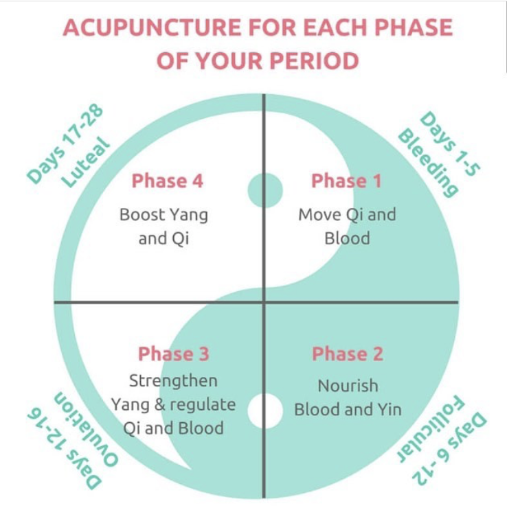 Acupuncture for Pregnancy Support – The Luteal Phase – AcuNatural Health