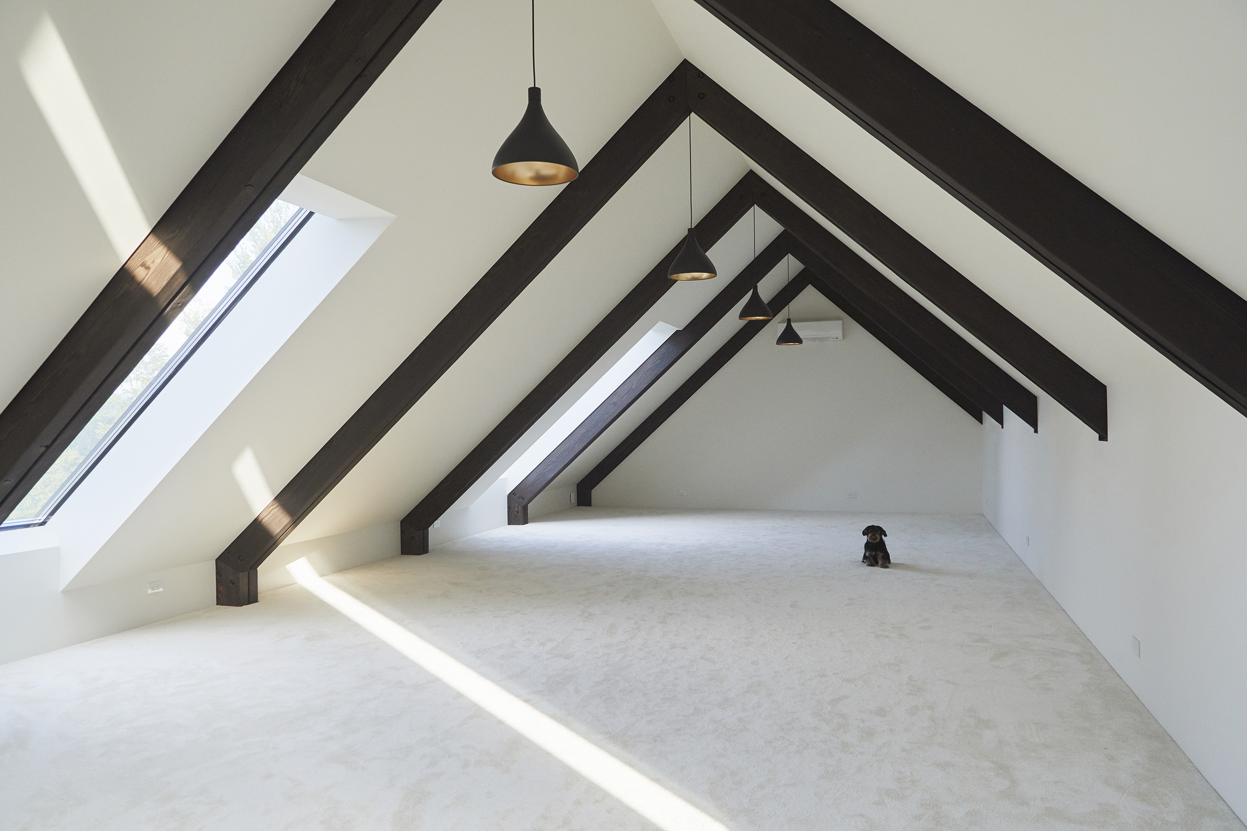 Upstairs the minimalist multi-purpose loft is lit by skylights, aligned perfectly for star-gazing at night