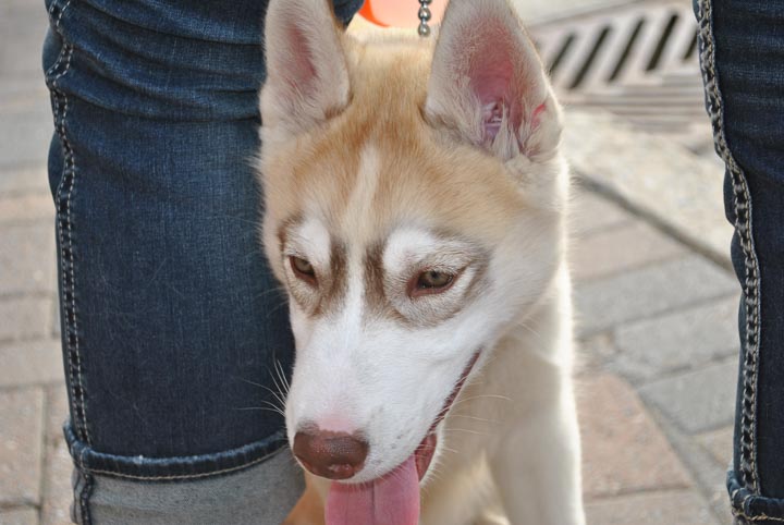 DSC_0033.jpg