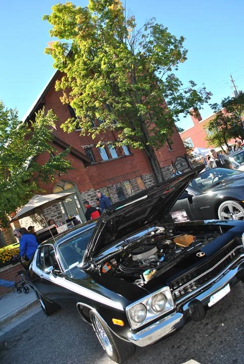 DSC_0006.jpg