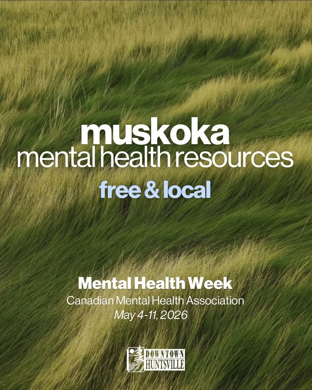 Did you know about these free programs?
It can feel daunting to know where to start when looking for accessible mental health support. Here are a few that are free and local that may be worth exploring. 

Find the links the all above resources in our