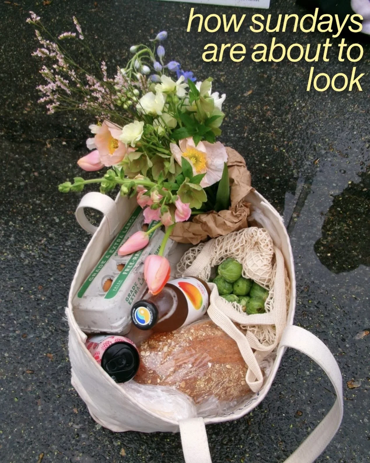 how Sundays are about to look ✨🍎🍅🌱💐🥖❤️
Lakeside wandering, fresh finds, and something handy to carry it all home&hellip;&hellip;😉

Find it all at the Waterfront Farmers Market in Downtown Huntsville, coming to River Mill Park this Sunday ✨💖

#