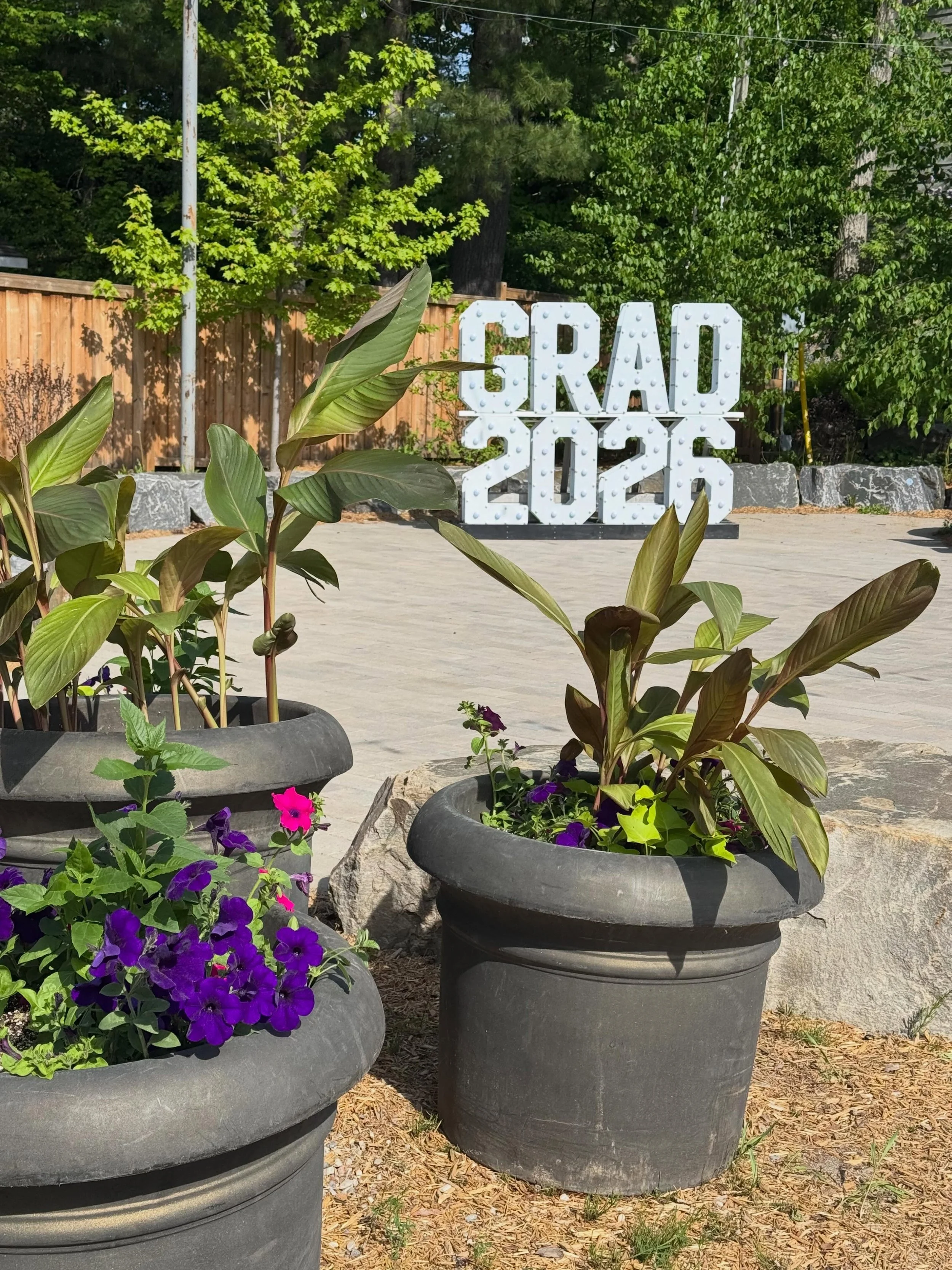 🎓 Class of 2026, this one&rsquo;s for you! 🎓

Our new Grad 2026 sign is now up in Kent Park and ready for photos. Gather your friends and family, capture the moment, and celebrate this exciting milestone.

📸 Stop by, snap a photo, and enjoy everyt