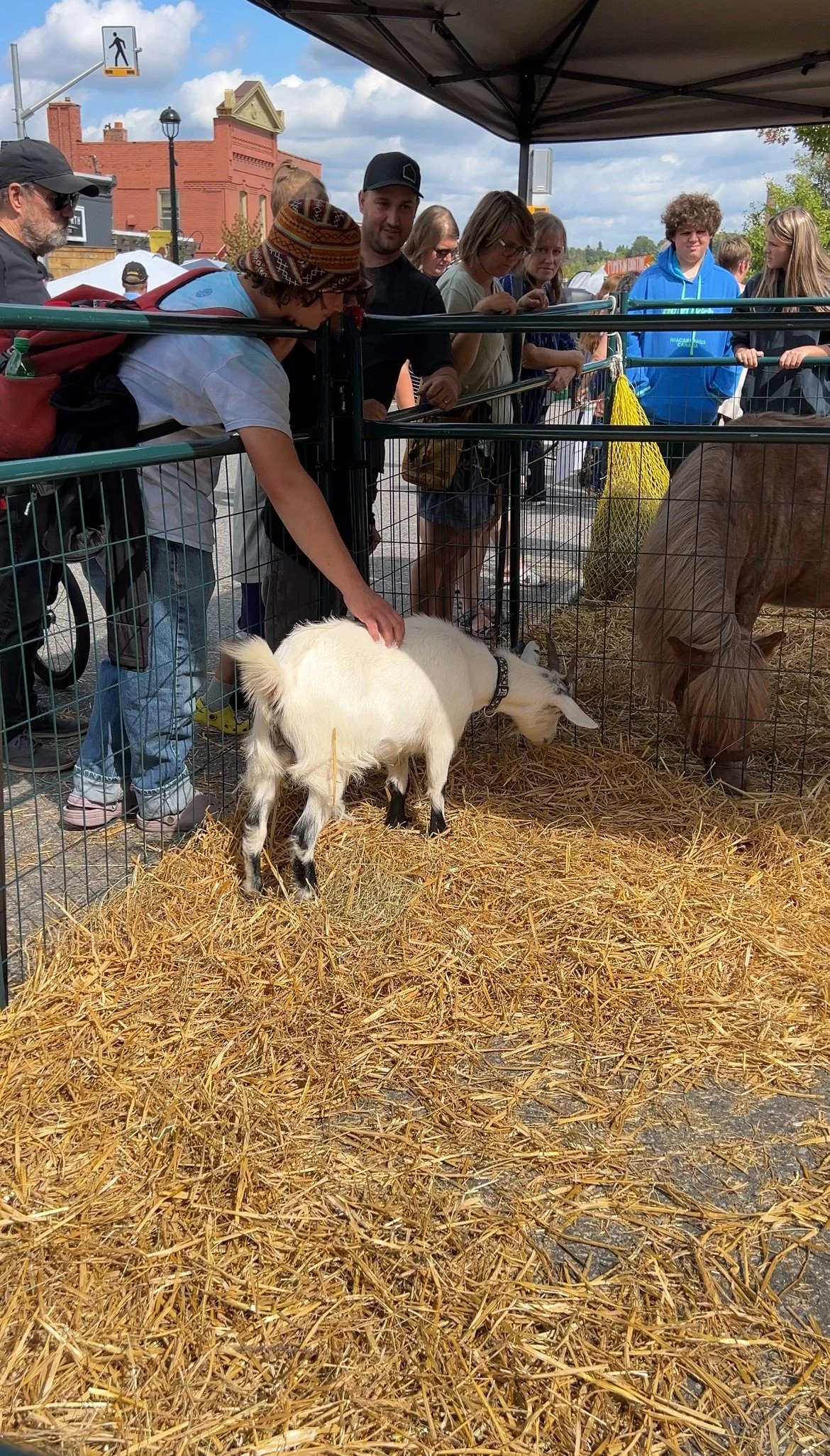 TTT Farm Animals Harvest Feast.JPEG