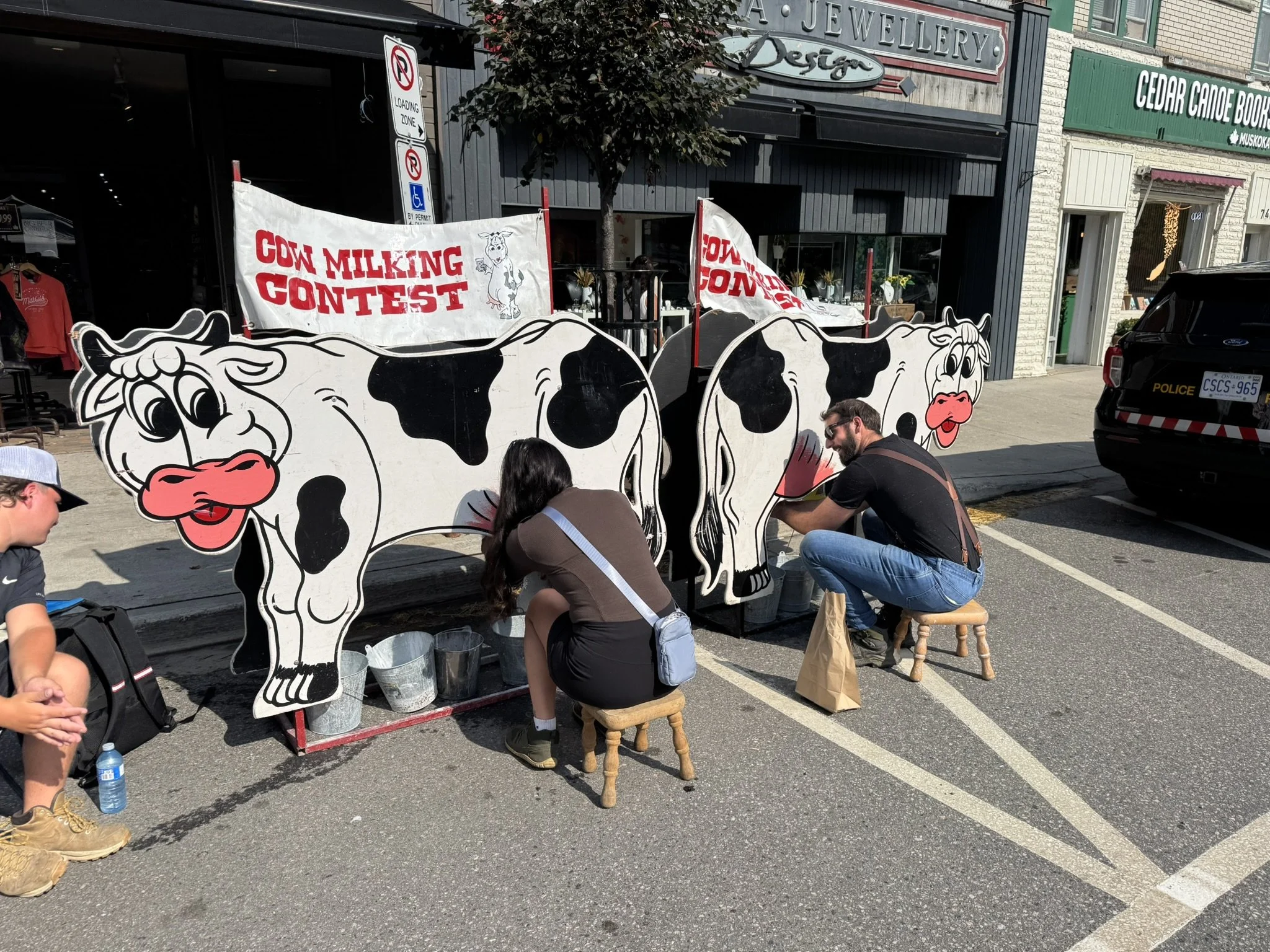 Cow Milking Contest.JPEG