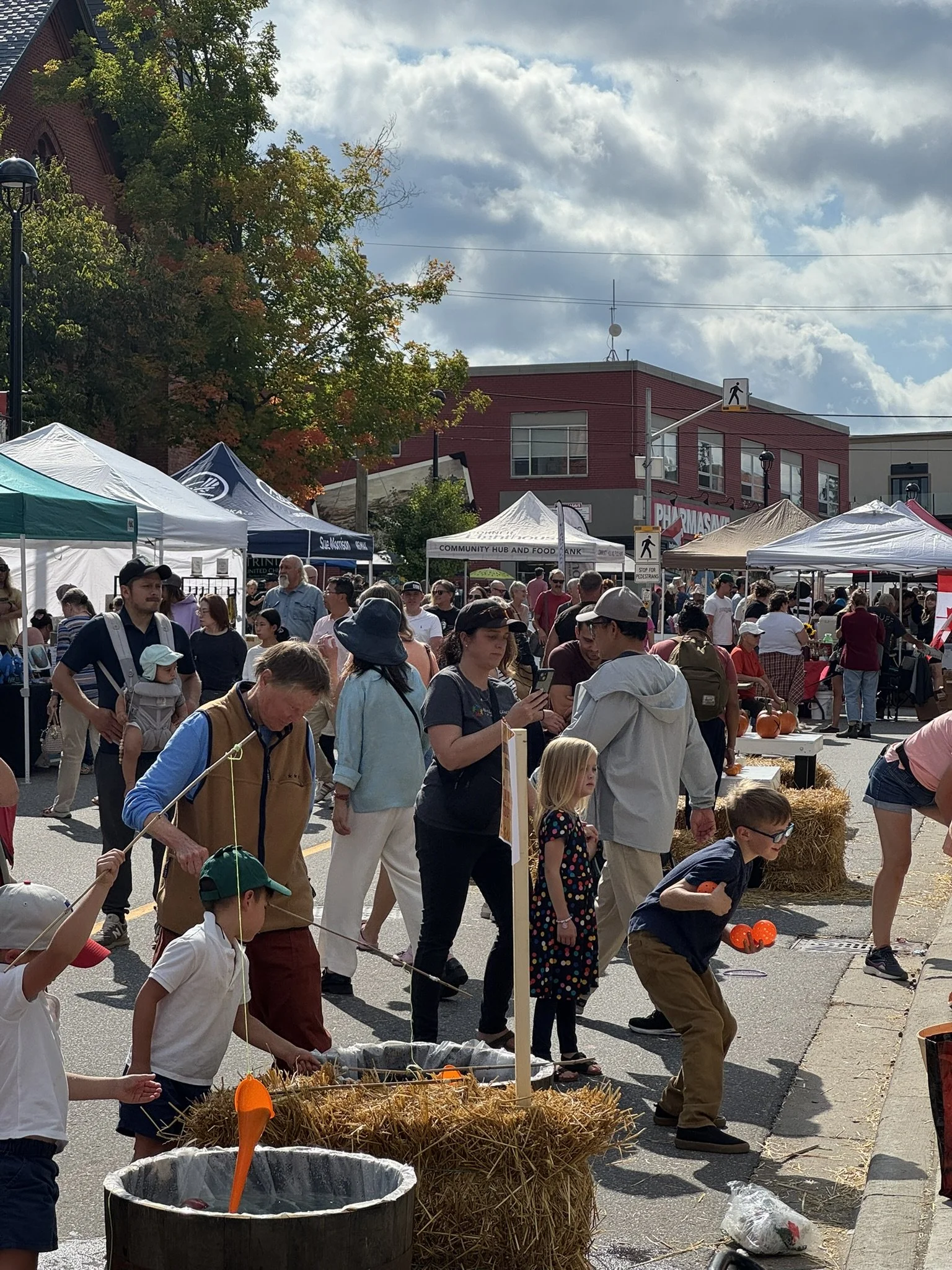 Fishing For Apples.JPEG