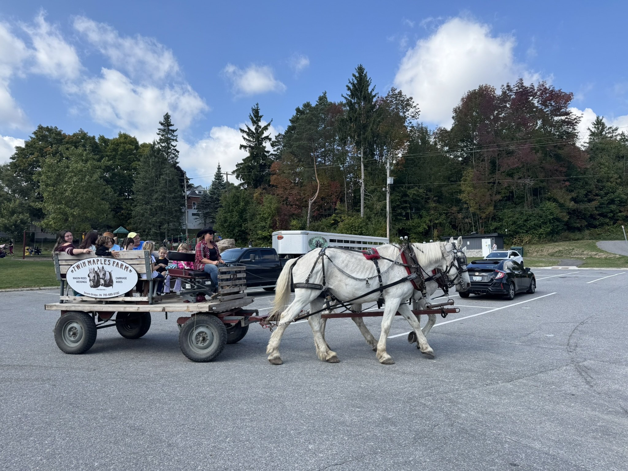 Horse and Wagon Rides.JPEG