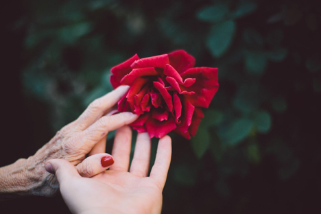 Photo courtesy of Unsplash by Jake Thacker
