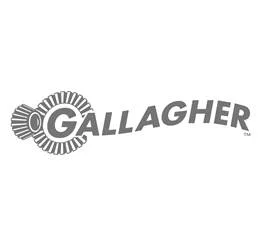 Gallagher.jpg