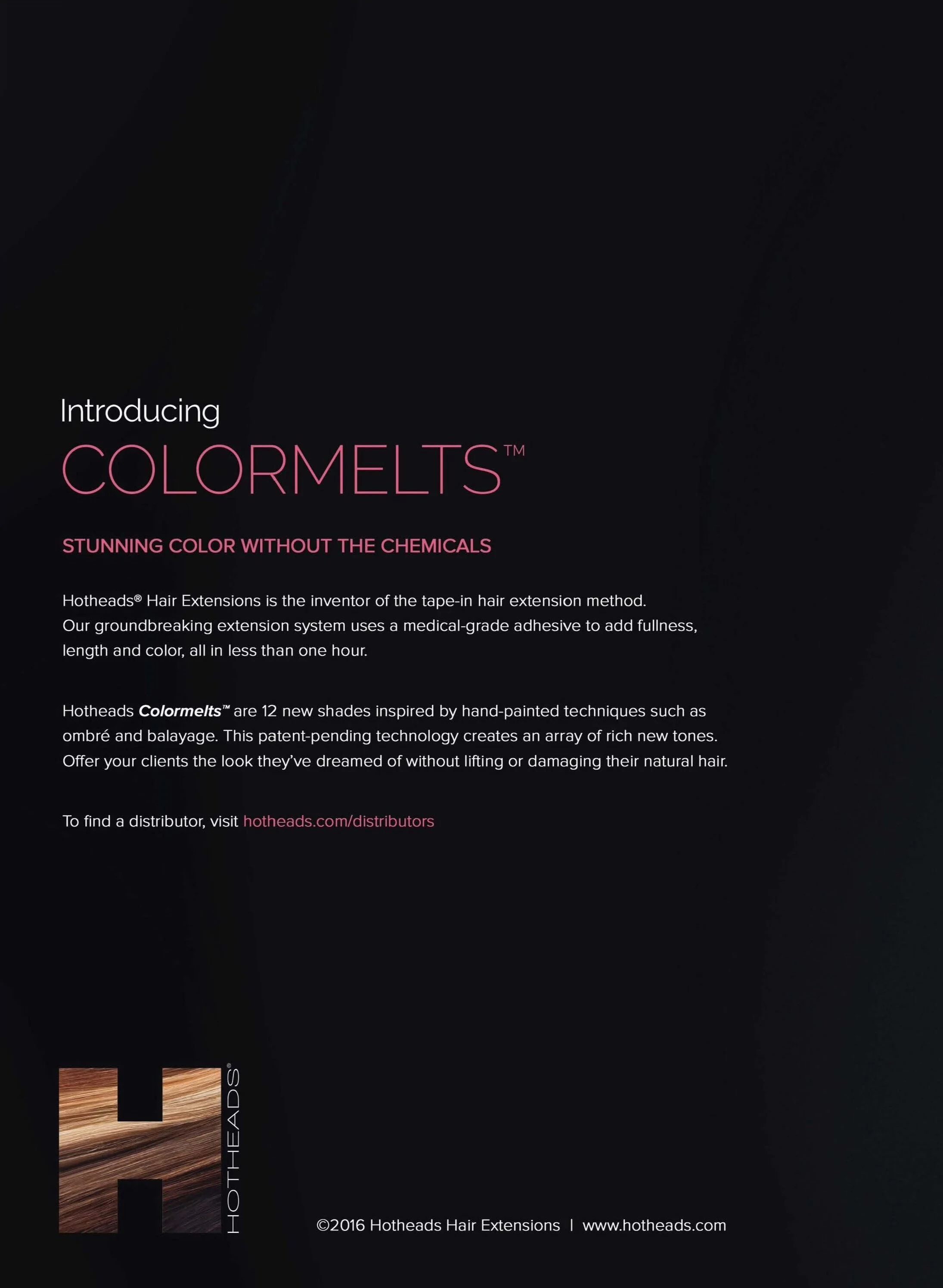 2016+Modern+Salon+-+Colormelt+Ad_Page_1.jpg