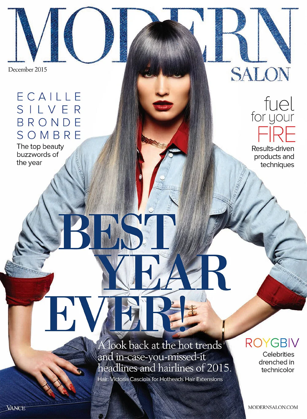 2015 Modern Salon Denim Cover.jpg
