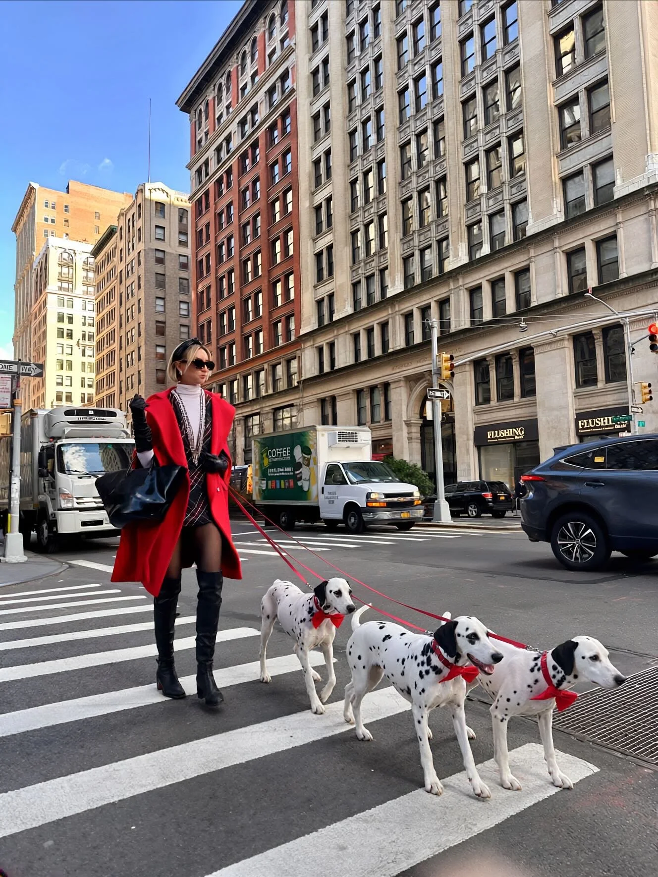 Introducing Liesl, Friedrich, &amp; Brigitta

Obsessed with this trend. 
#fashion #fashionstylist #puppies #ai #dalmatians