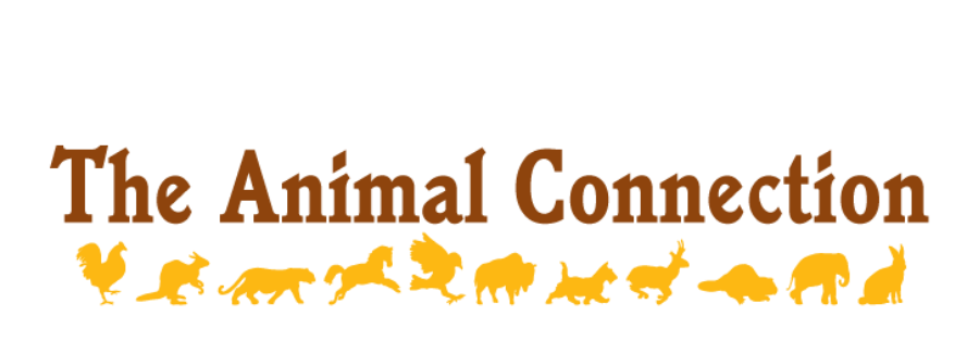 The Animal Connection