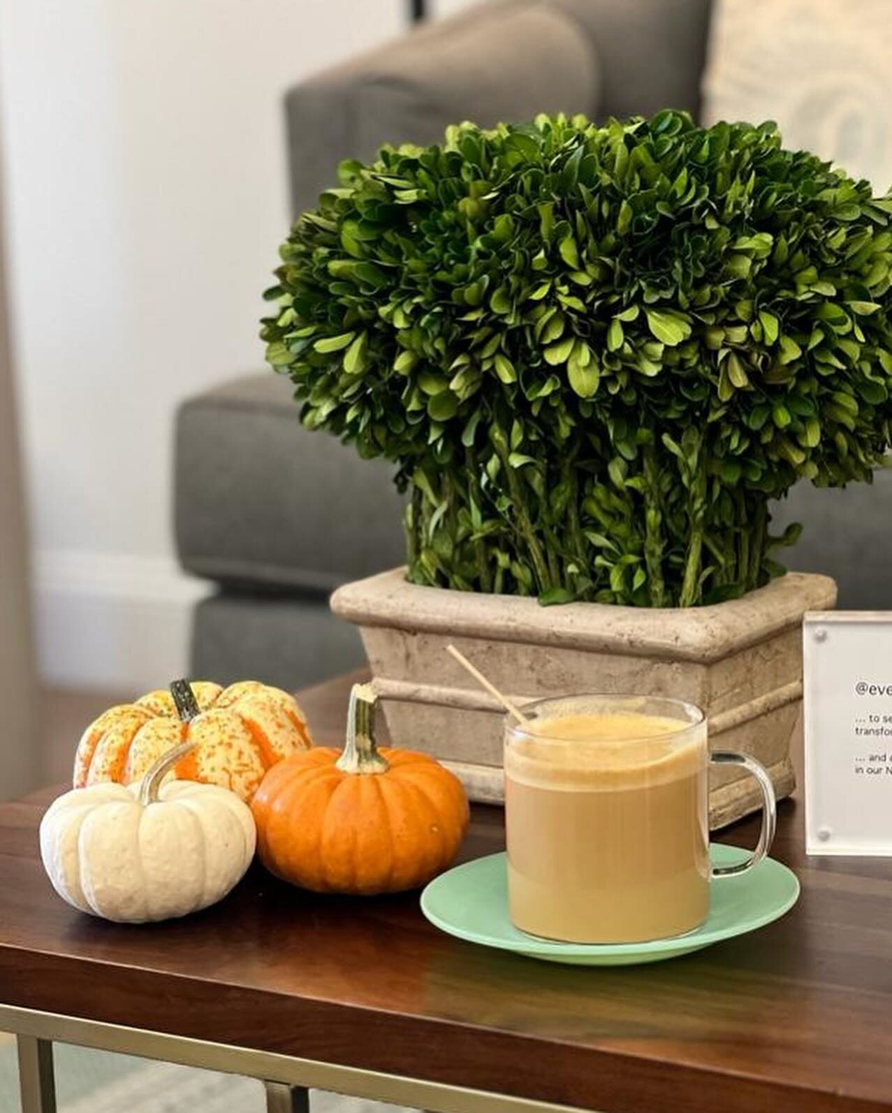 Temperatures are dropping&hellip; it&rsquo;s pumpkin latte and gourds season!  We&rsquo;ve lost count of how many teensy-weensy mini-pumpkins we have in our salons 😝