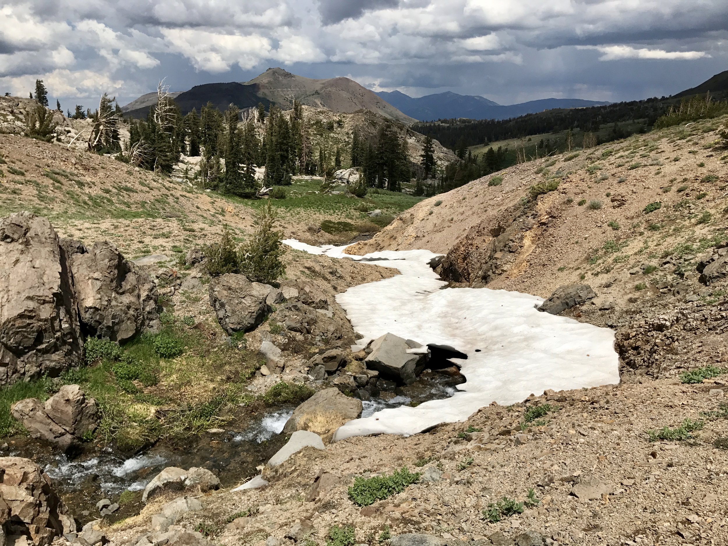   Snow-filled creek bed, with a snow-melt creek running underneath.  