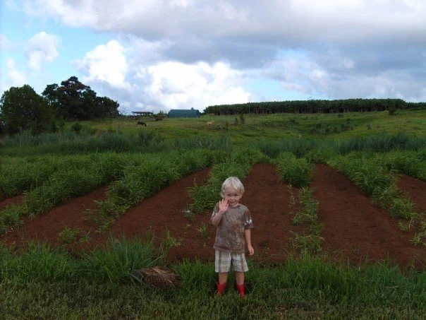 little farmer Maluhia.jpg