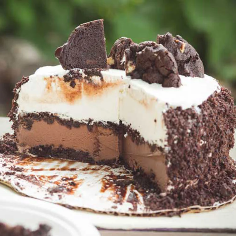 Ice Cream Cake