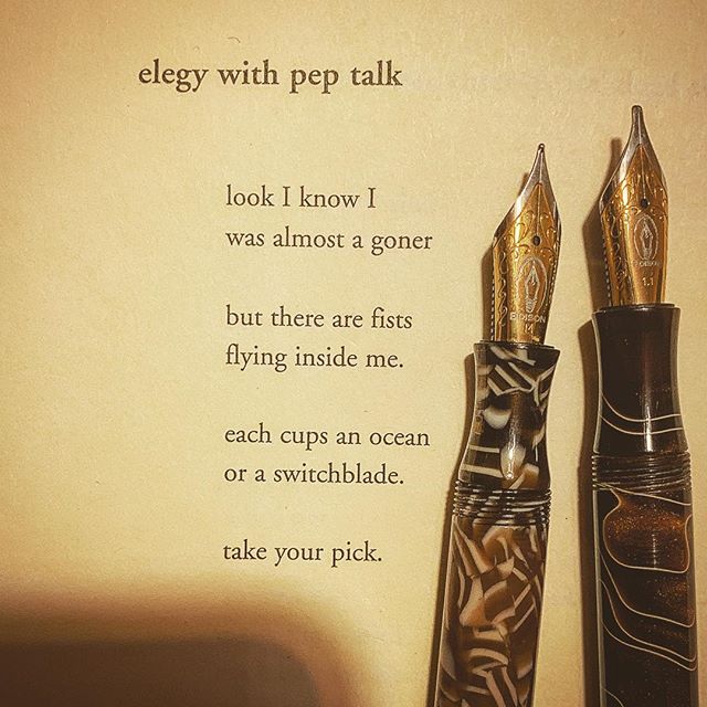 A poem by Nina Puro from her book, Each Tree Could Hold a Noose or a House ... and two Edison Fountain Pens. #warrenwilsonmfa #longlivepoetry #poetryisart #spokenwordpoetry #edisonpen #fountainpenaddict #cigaraficionado #elegy #poetryischurch #litera