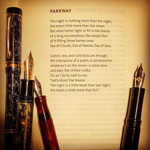 A poem by Paul Violi from his book, Likewise. #paulvioli #warrenwilsonmfa #night #themoon #surrealistpoetry #poetryischurch #longlivepoetry #deadpoetssociety #poetry #poetrycommunity #cigaraficionados #fountainpen #gouletnation #notebook #journaling 