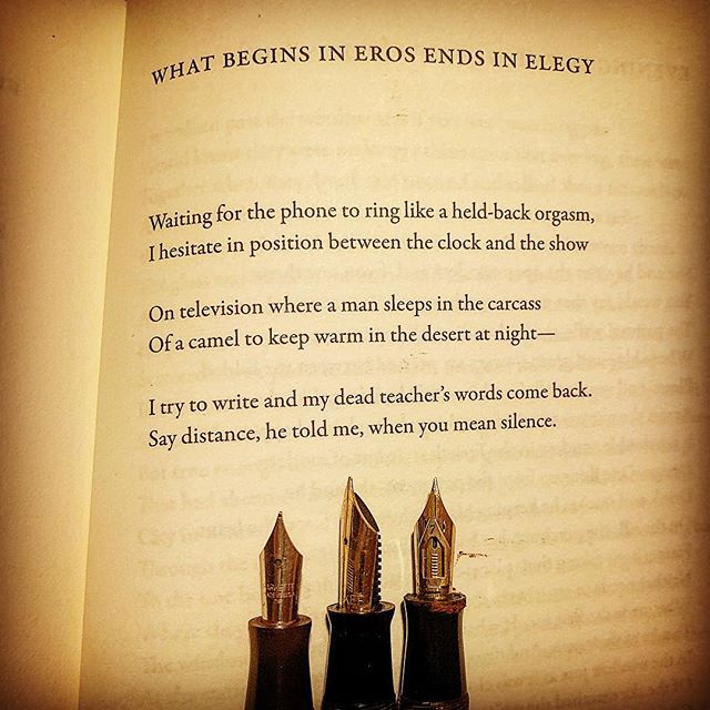A poem by Stuart Dischell from his book, Children with Enemies. #stuartdischell #poetryisnotdead #poetrycommunity #poetrybooks #poemoftheday #warrenwilsonmfa #poetryischurch #spokenwordpoetry #fountainpen #cigaraficionados #instapoetry #instapoems #s