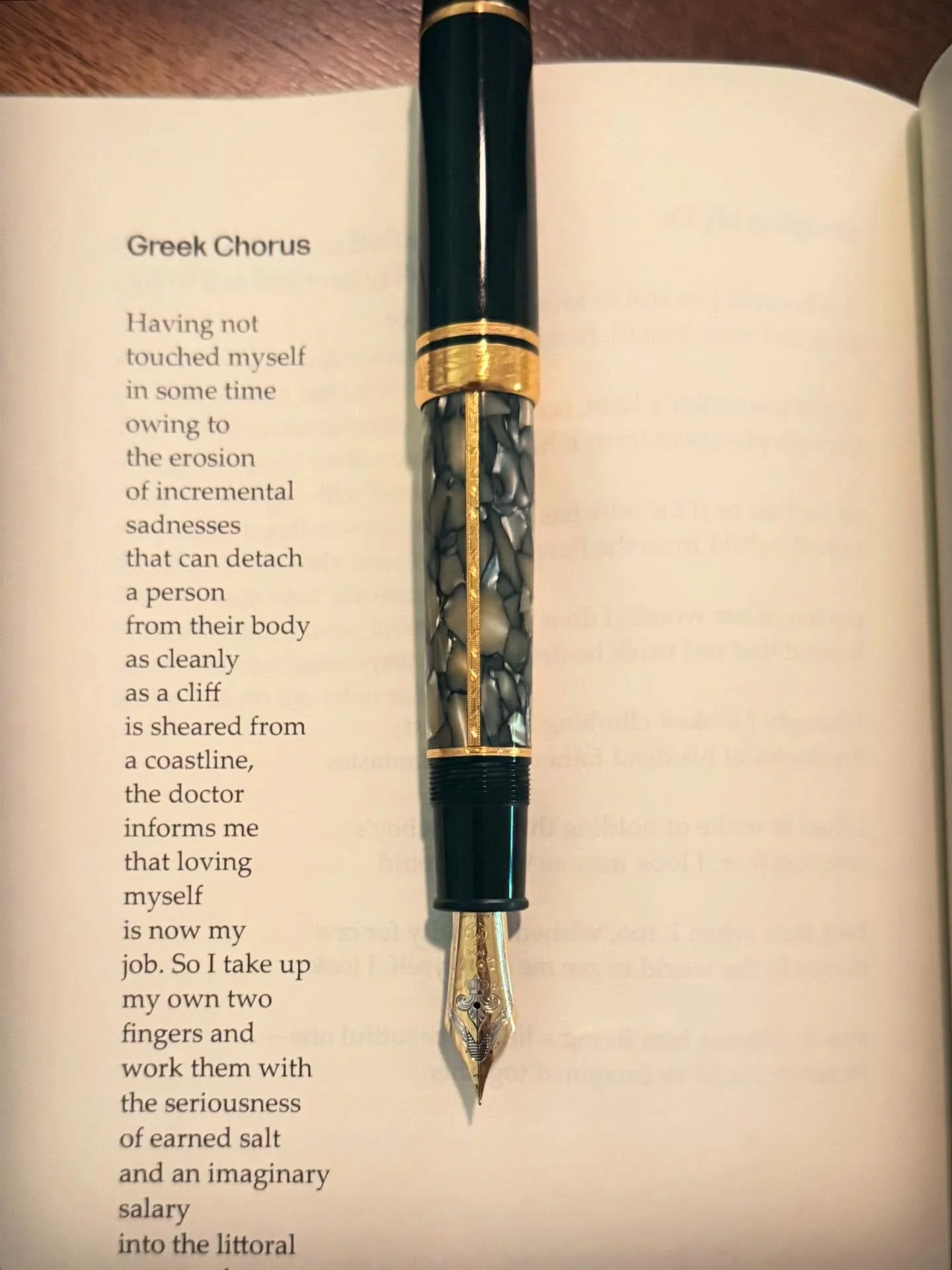 A poem by Keetje Kuipers from her book, Lonely Women Make Good Lovers, BOA Editions.

#thewritinglife #poetry #poemoftheday #fountainpen #cigaraficionado #poetryislove #boaeditions  #modernpoetry #longlivepoetry #instapoetry #Keetjekuipers #instapoet