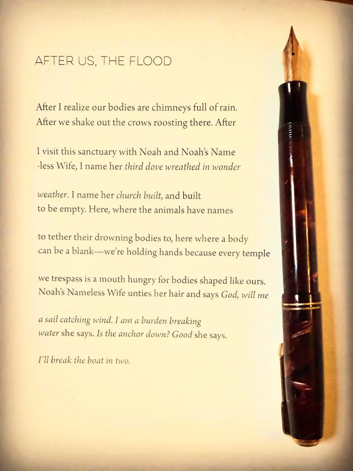 A poem by C.T. Salazar from his book, Headless John the Baptist Hitchhiking.

#thewritinglife #poetsofinstagram #writesomething #cigaraficionado #vintagefountainpens  #journaling #globalpoetcult #warrenwilsonmfa #cursive  #borntowrite #handwriting  #