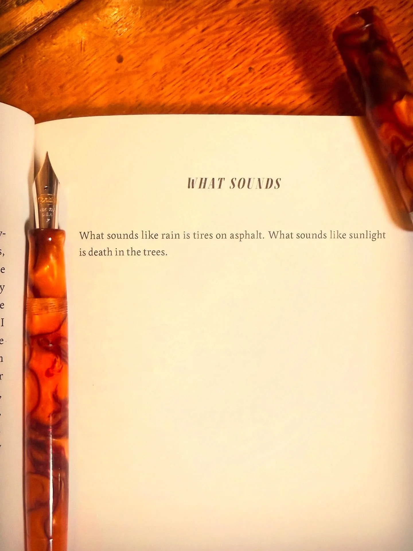 A poem by Lauren K. Watel from her book, Book of Potions, out from Sarabande. The book is really great prose poems. 

 #poetsofinstagram #writesomething #cigaraficionado #fountainpens #warrenwilsonmfa #instapoem  #poetlife  #modernpoetry ##workingpoe