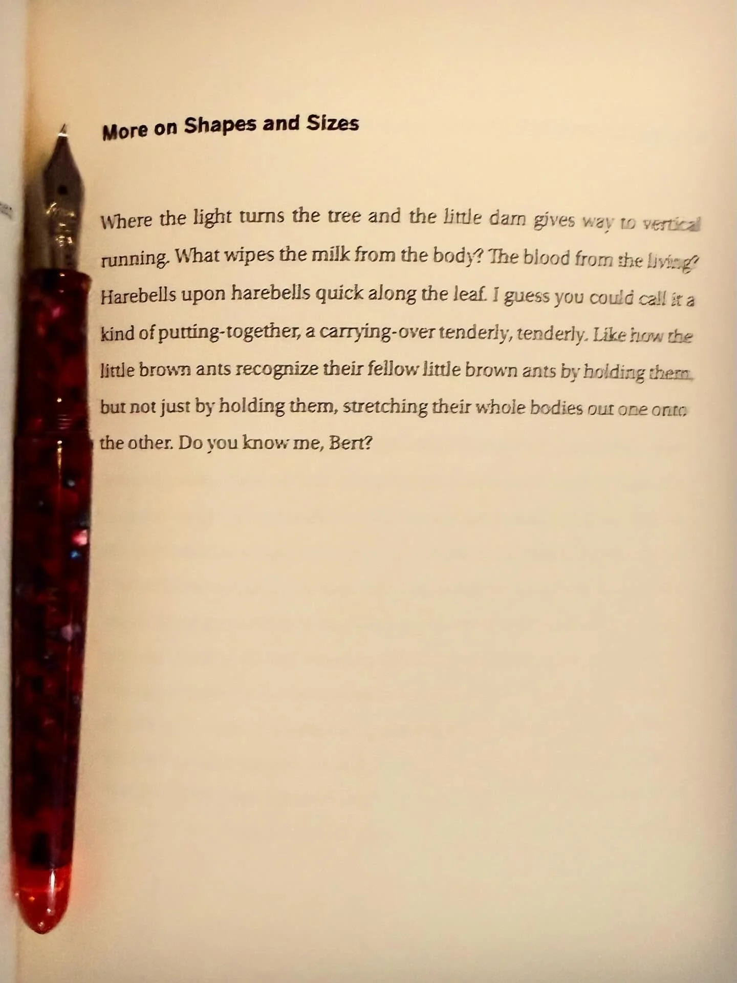 Where is Everyone, a new book of poetry by Elizabeth Zubra, is out from Conduit Books. You should get it. Really.

#thewritinglife #poetry #poemoftheday #fountainpen #cigaraficionado #poetryislove #lovetoread #modernpoetry  #instapoetry #instapoet #p