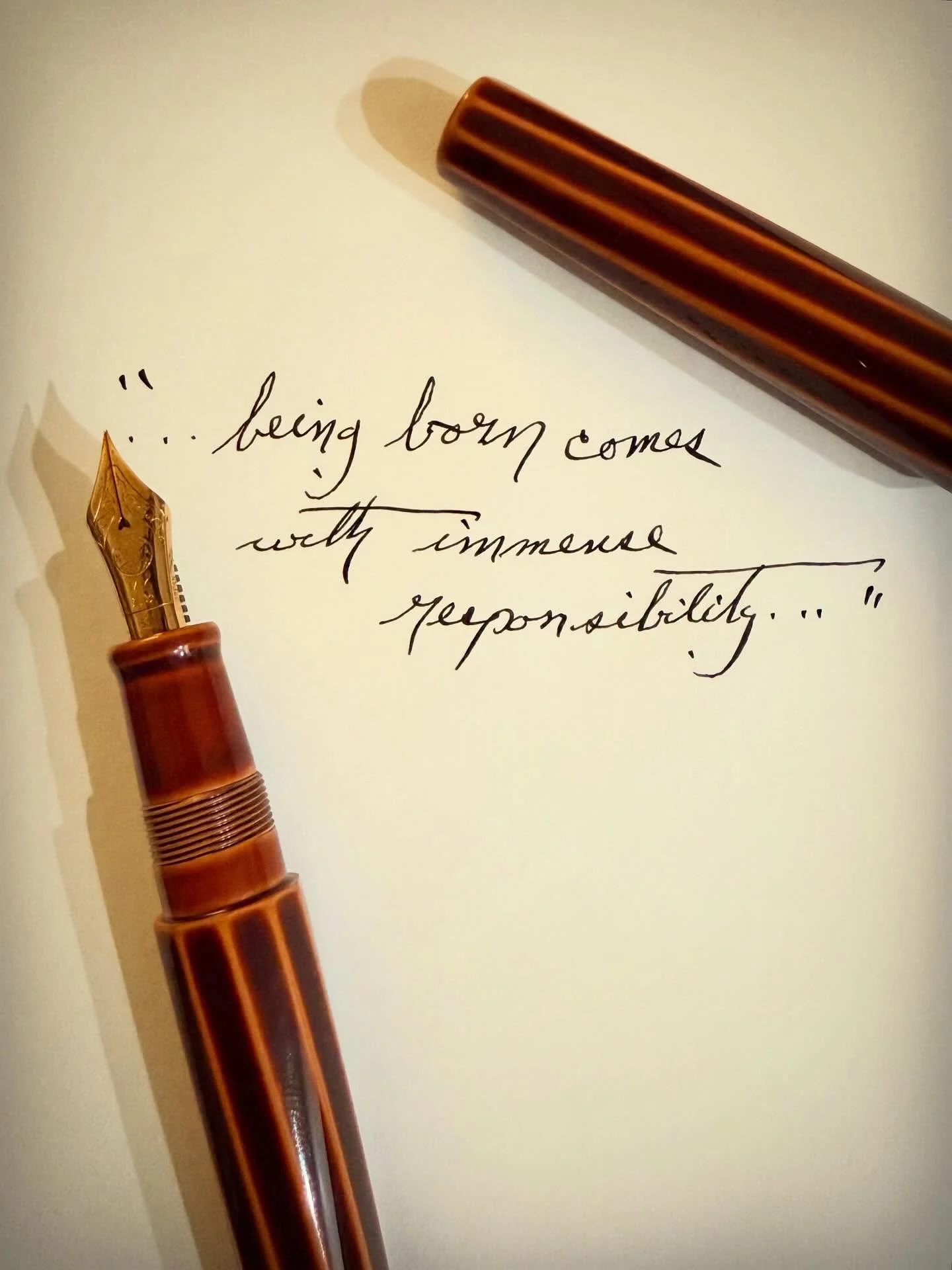 #thewritinglife #poetry  #fountainpen #cigaraficionado #poetryislove  #lovetoread #modernpoetry #longlivepoetry #instapoetry #instapoet #poeticlanguage  #iowawritersworkshop #cursivehandwriting #poetryworkshop #Poeticwisdom #poetsofinstagram  #litera