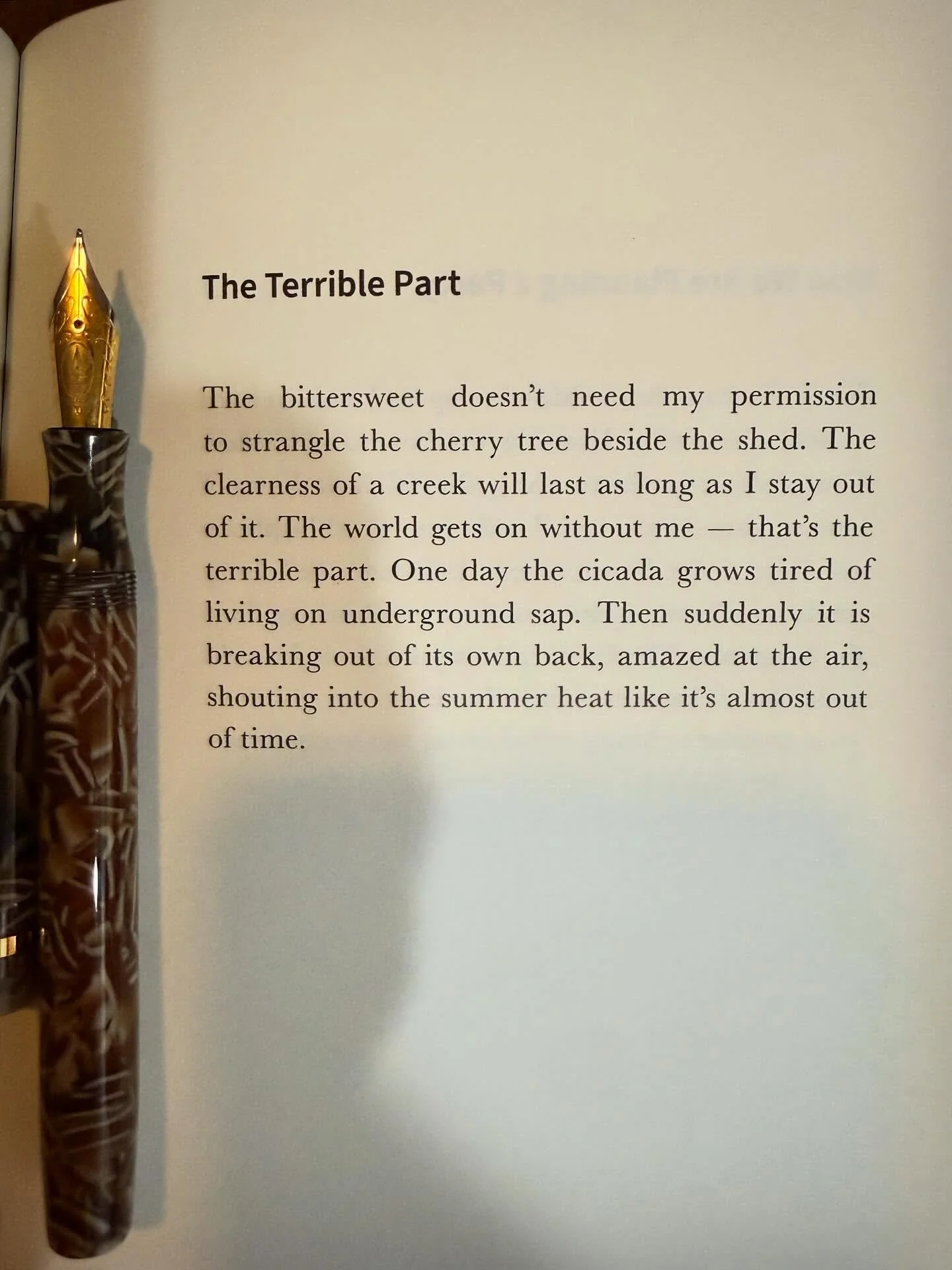 A poem by Charles Rafferty from his book, The Appendectomy Grin, BOA Editions. 

#thewritinglife #poetry #poemoftheday #fountainpen #cigaraficionado #poetryislove #boaeditions  #lovetoread #modernpoetry #longlivepoetry #instapoetry #instapoet #poetso