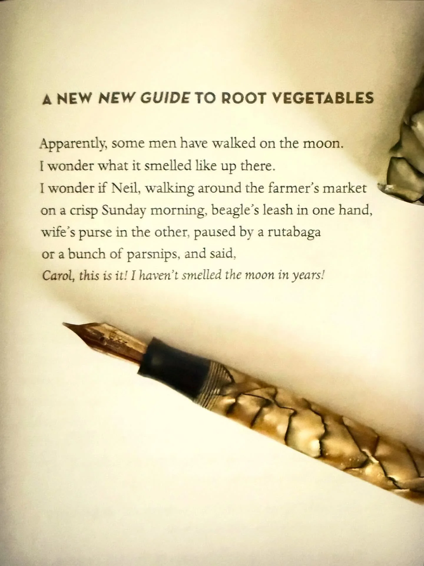 A wonderful poem by Lara Egger from her book, How to Love Everyone and Almost Get Away With It.

#poetry #poemoftheday #fountainpen #cigaraficionado #poetryislove  #modernpoetry #longlivepoetry #instapoetry #instapoet #poetsofinstagram #instapoem #gl