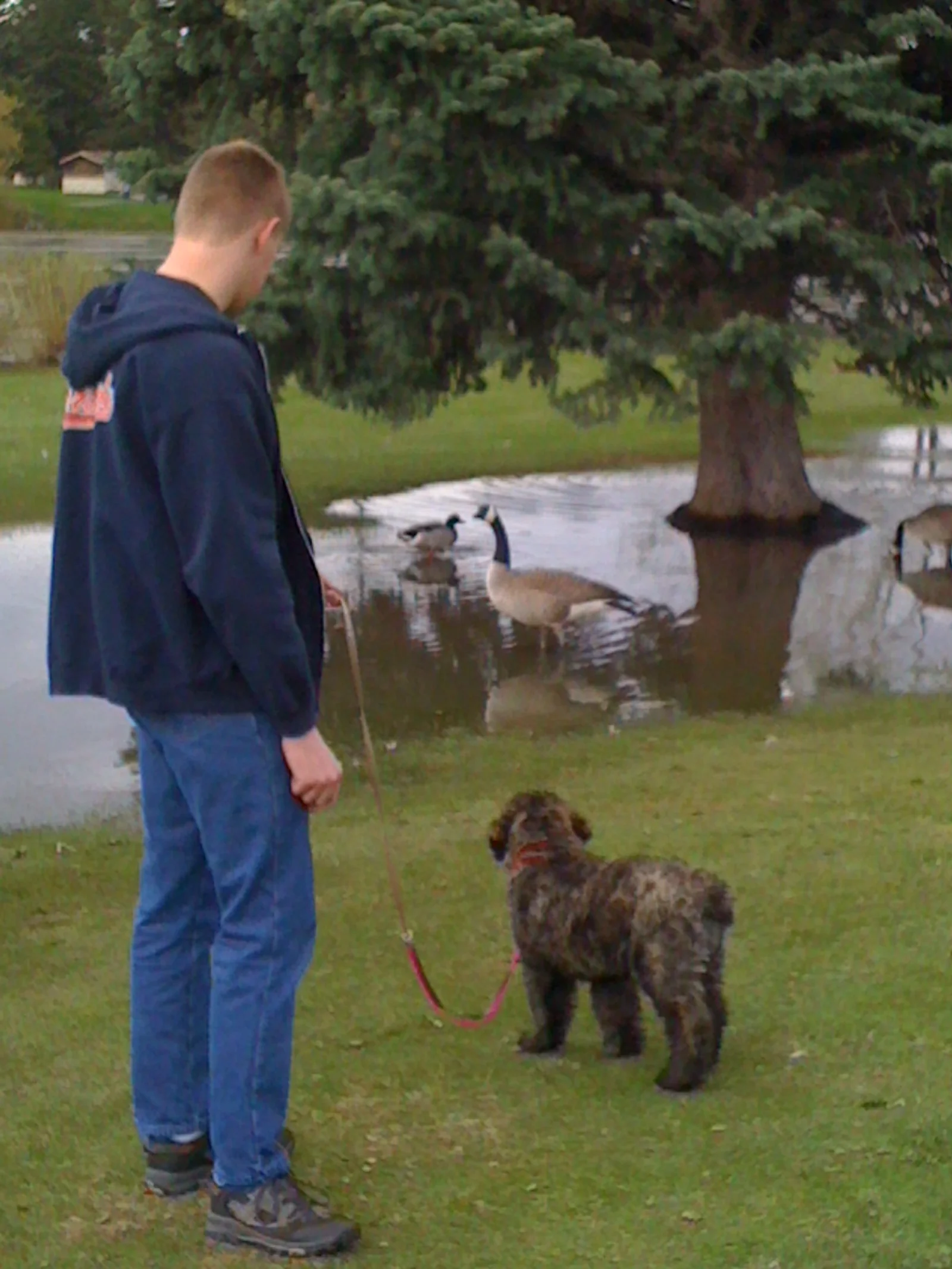  Evan and &lt;puppy&gt; 