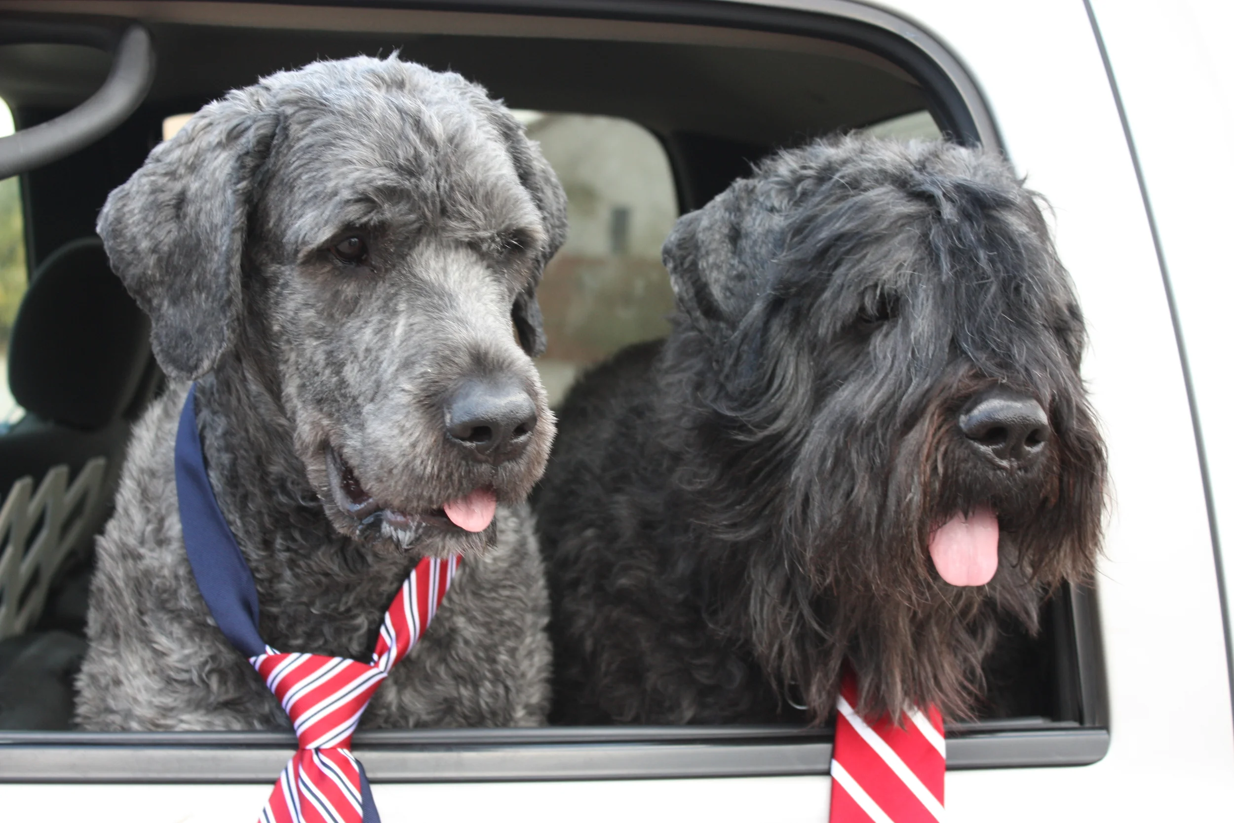  Atlas (left) and Wallace (right) 